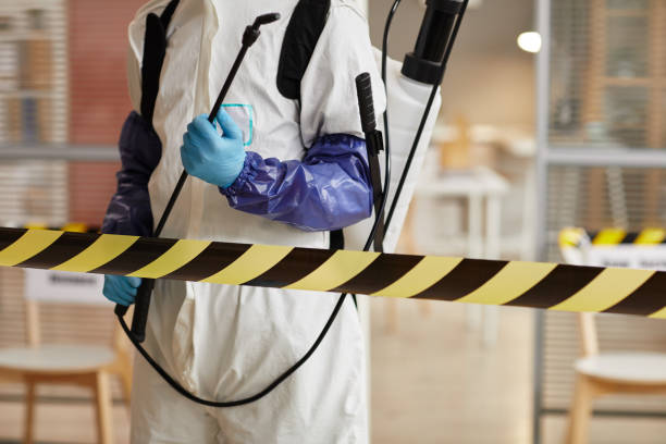 Professional Hoarding Cleanup technician working in Yarmouth Port, MA